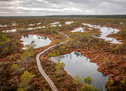 Национальный парк Kemeri Латвия