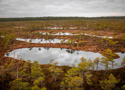Национальный парк Кемери Латвия